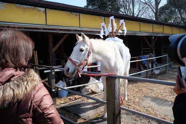 上岡の絵馬市