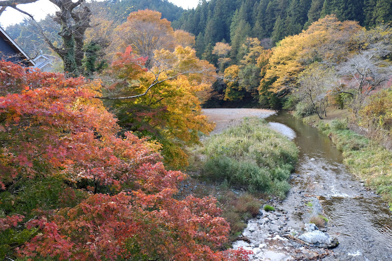 入間川にかかる橋の上